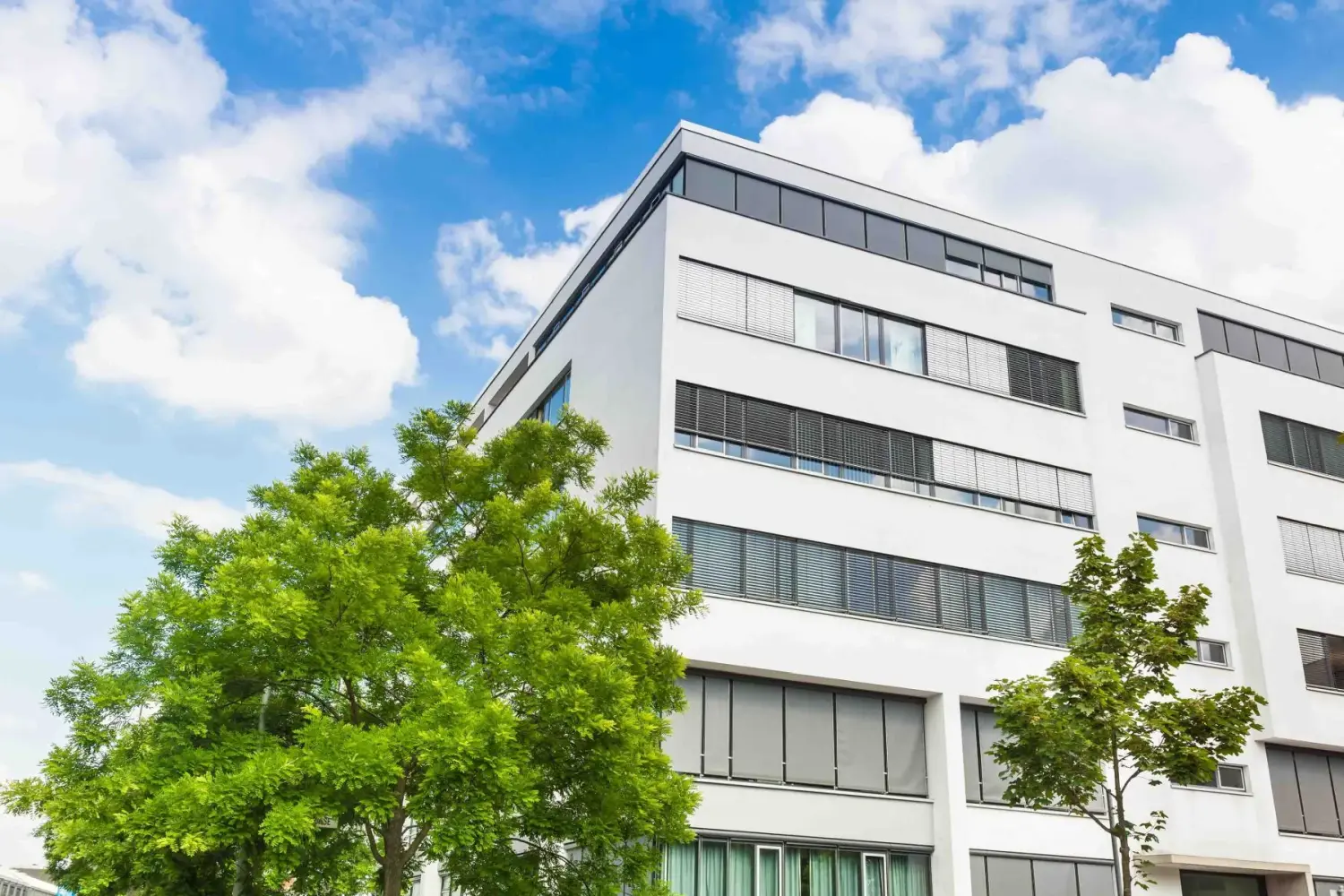 AdMa - Haus in Deutschland -- modernes Bürogebäude und Bäume